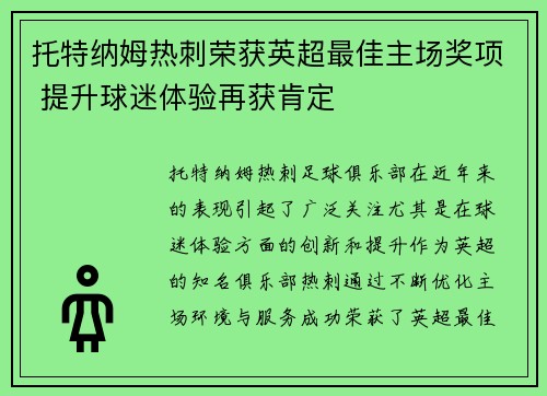 托特纳姆热刺荣获英超最佳主场奖项 提升球迷体验再获肯定
